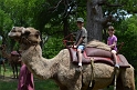 Kids_SFaire-2014 (27)
